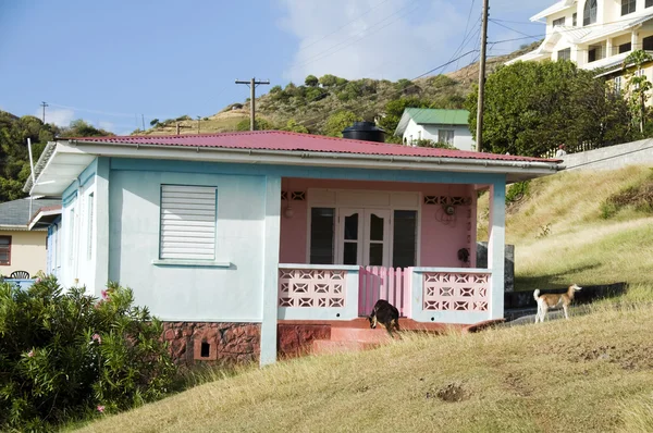 Typical caribbean style house — Stock Photo, Image