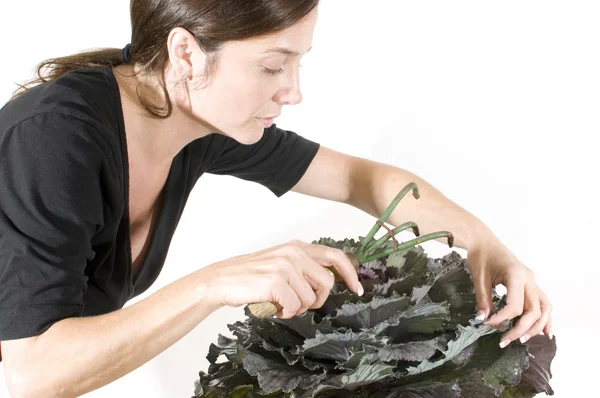 Mujer de mediana edad jardinero con hermosa planta maceta de col rizada de invierno — Foto de Stock