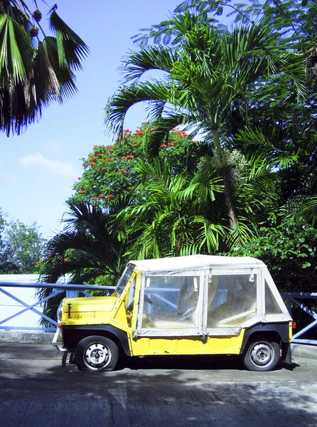 Eiland voertuig lekke banden door palm bomen bequia st. vincent en — Stockfoto