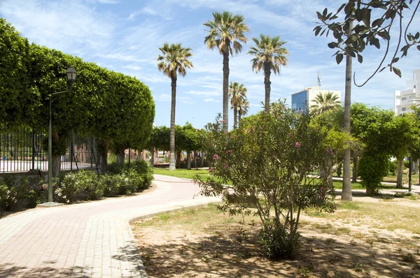 Tuinen wandelpad in waterkant oasis park el kantaoui sousse Tunesië — Stockfoto
