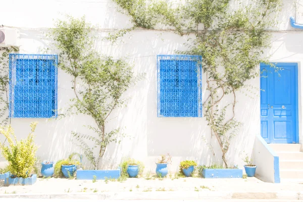 Jellegzetes fehér tunéziai építészeti Tunézia Afrika Sidi Bou Said — Stock Fotó