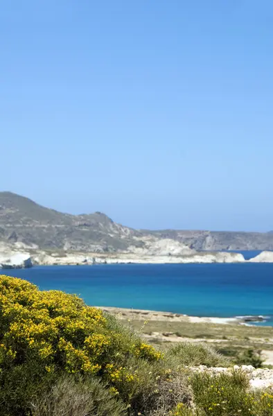 Известняковый пляж Средиземное море Милош Греческий остров Киклады Греция — стоковое фото