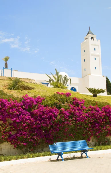 Tunisko Afrika sidi bou řekl mešita s květinovou zahradou — Stock fotografie