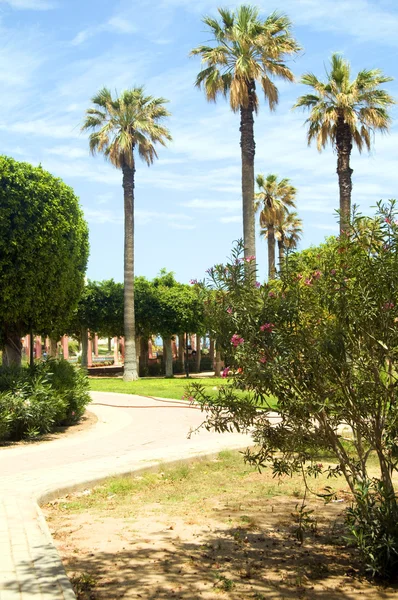 Pasarela jardines frente al mar Oasis Park El Kantaoui Sousse Túnez — Foto de Stock