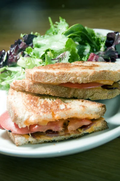 Grilled cheese sandwich bacon tomato vinaigrette salad and cole — Stock Photo, Image