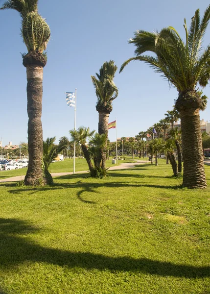 Parque Antibes França Europa na Riviera Francesa Cote d 'Azur — Fotografia de Stock