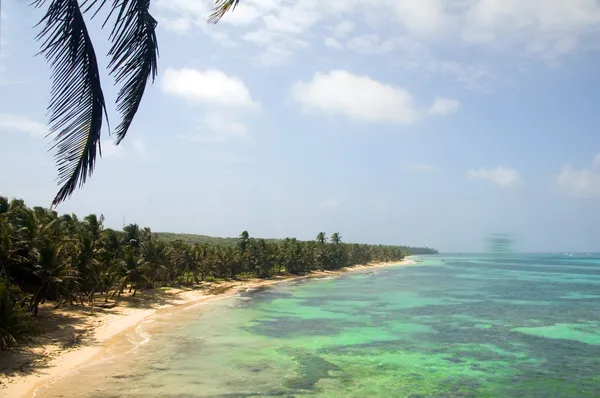 Leguaan strand weinig maïs eiland nicaragua — Stockfoto