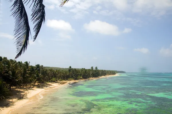 Iguana Beach Little Corn Island Nicaragua — Stockfoto