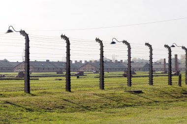 Auschwitz toplama