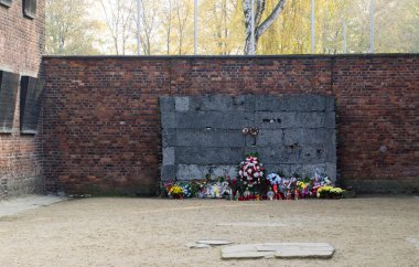 anma töreninde auschwitz duvara