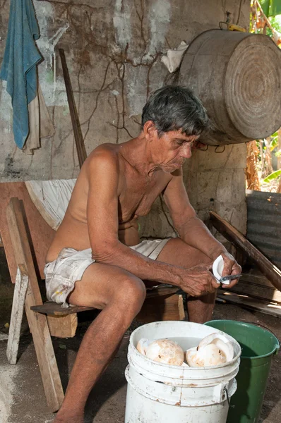 Eingeborener älterer Mann reinigt Kokosnuss — Stockfoto