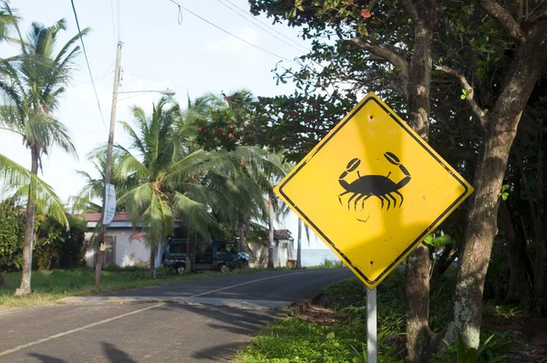 Caranguejo cruzando sinal de rua cautela — Fotografia de Stock