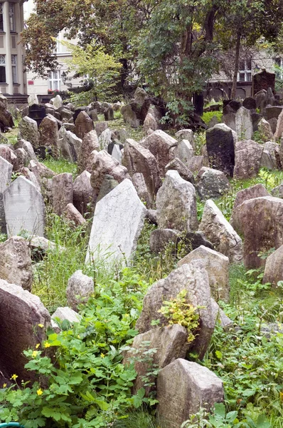 Alter jüdischer Friedhof — Stockfoto