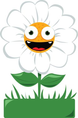 Bahçe komik papatya