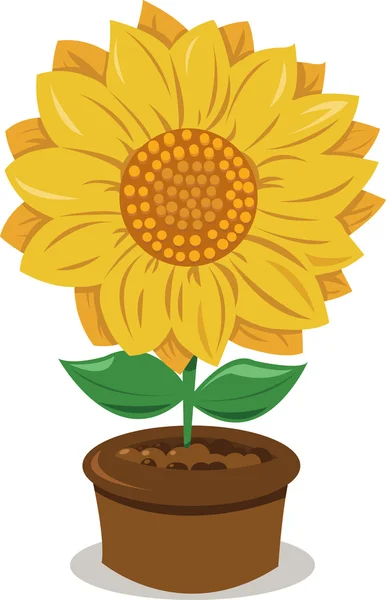 Girasol en una olla — Vector de stock