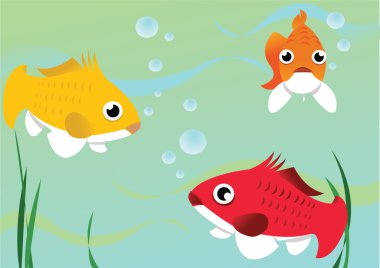 Koi carps