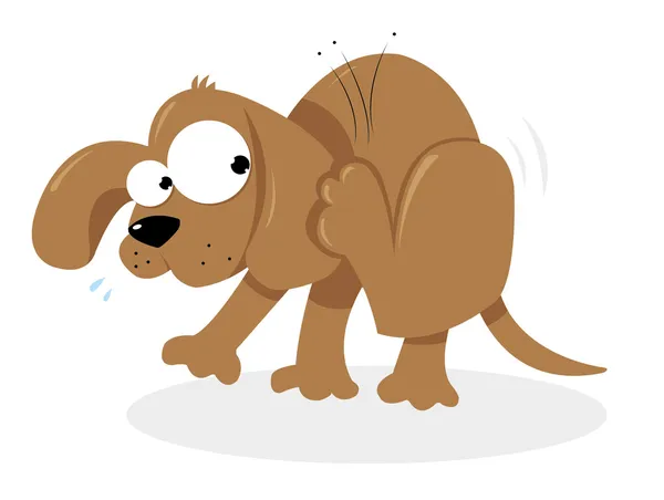 Doggie y pulgas — Vector de stock