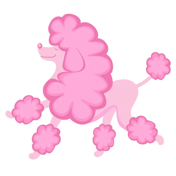 Caniche rosado — Vector de stock