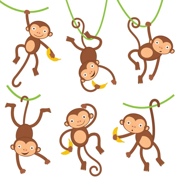 Funny monkeys set — Stock Vector