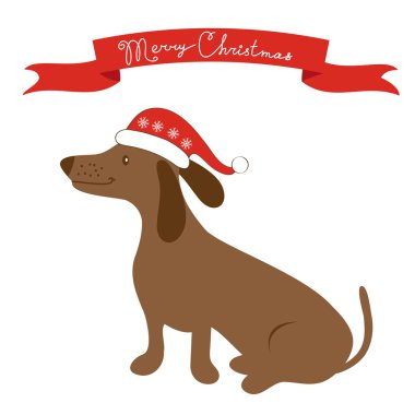 Porsuk köpek