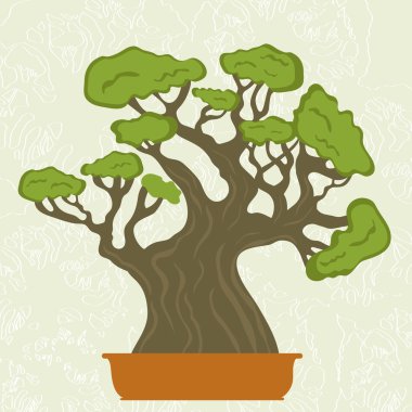 Bonsai Ağacı