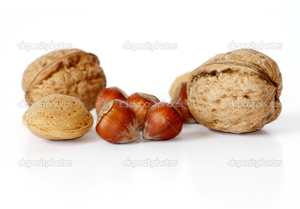 Nuts with shells isolated on white