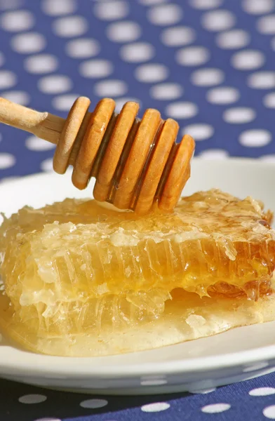 Honey Comb and Dipper — Stock Photo, Image