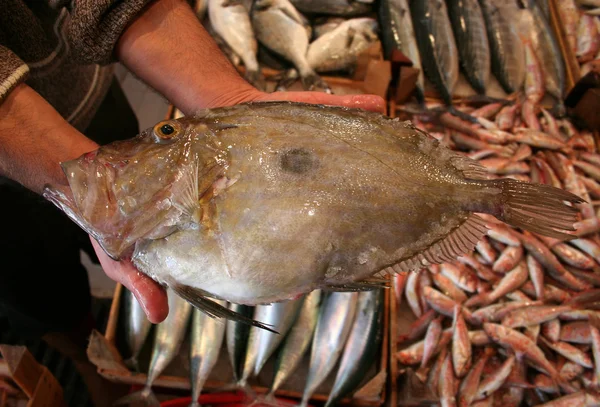 Рибалка тримає велику рибу в руці і показує на рибному ринку — стокове фото