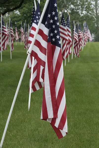 Cemetery with the US Flags — Stock Photo, Image