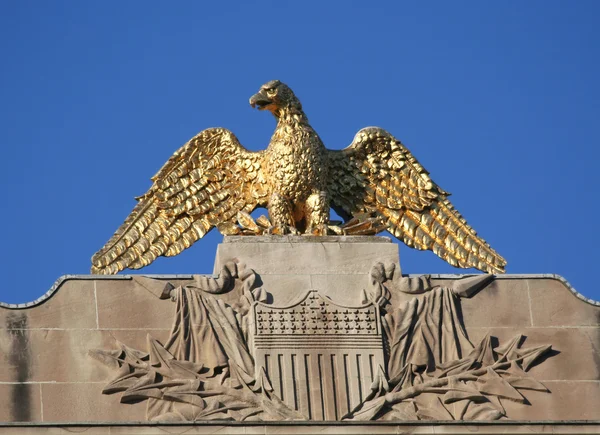 Золотий Американський орел тла синього неба — стокове фото