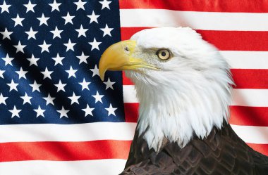 Amerikan Kel Kartalı Amerikan Bayrağı