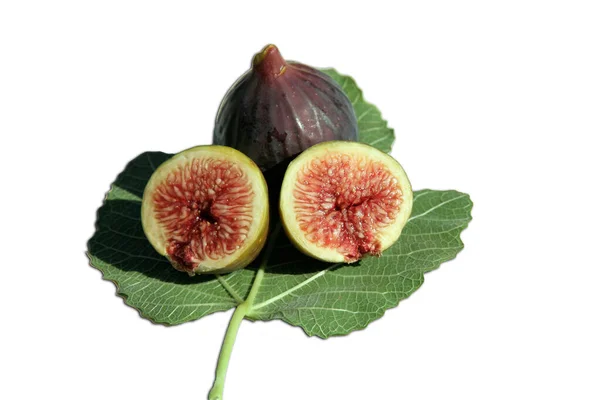 Delicious Brown Figs Fig Leaf Isolated White — Stok fotoğraf