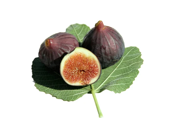 Delicious Brown Figs Fig Leaf Isolated White — Stock Photo, Image