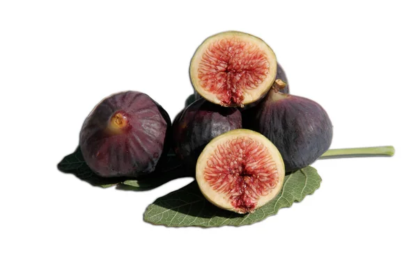 Delicious Brown Figs Fig Leaf Isolated White — Photo