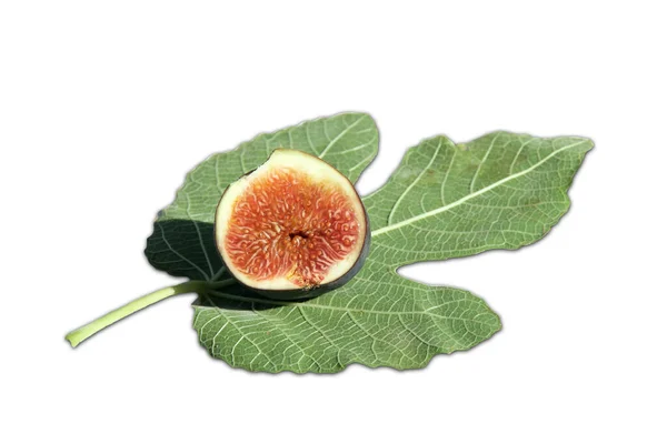 Delicious Brown Fig Fig Leaf Isolated White — Photo