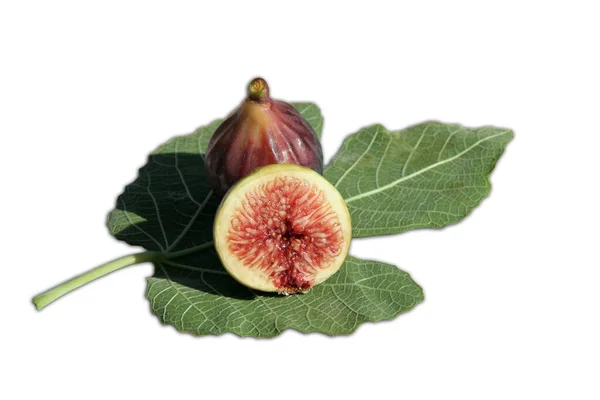 Delicious Brown Figs Fig Leaf Isolated White — Stock Photo, Image