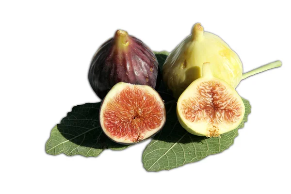 Delicious Brown Green Figs Isolated White — Photo