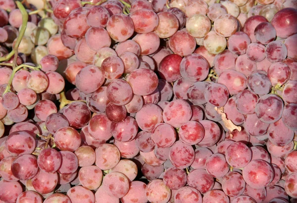 Delicious Red Grapes Sale Farmers Market Mersin Turkey — Fotografia de Stock