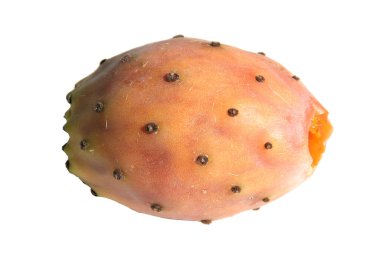 Prickly Pear aka Cactus Fruit isolated on white