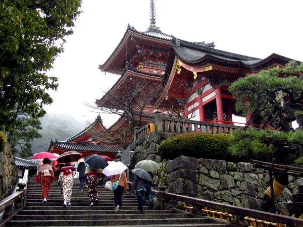 Japon Tapınağı'nda yağmurlu bir gün