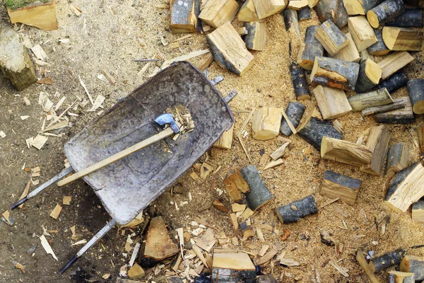 Chopped firewood — Stock Photo, Image