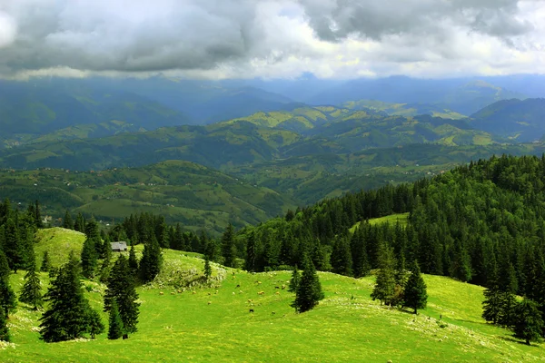 Transilvanya — Stok fotoğraf