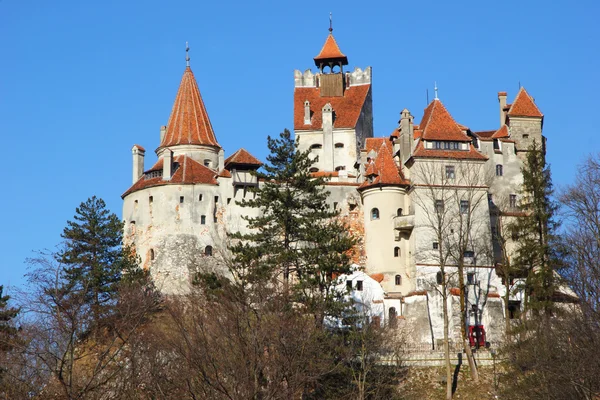 Zamek Drakuli — Zdjęcie stockowe