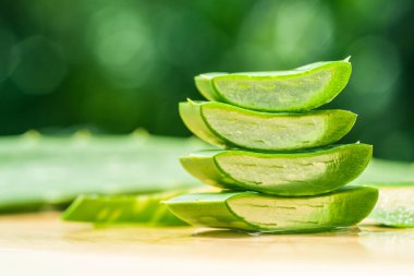 Bahçede aloe vera dilimi