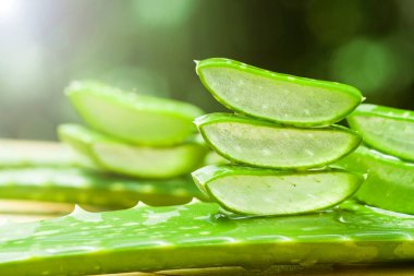 Bahçede aloe vera dilimi
