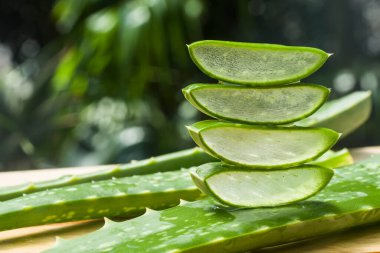 Bahçede aloe vera dilimi