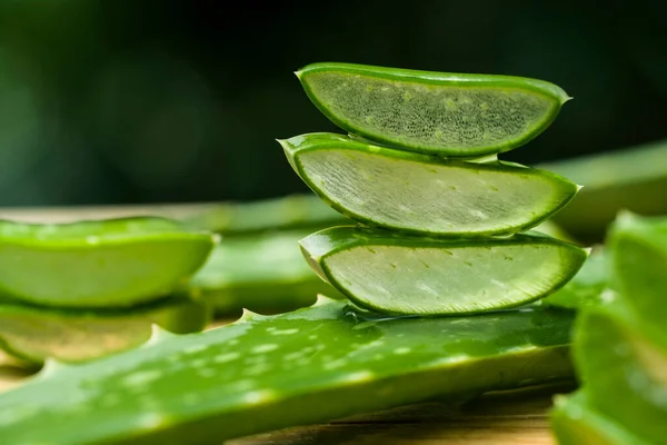 Çiftlikte taze aloe vera dilimi