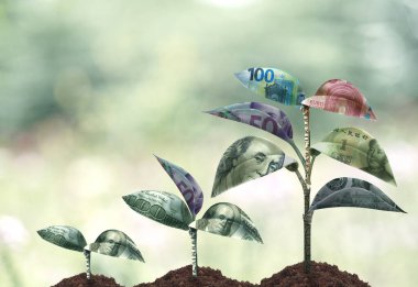 Banknottan filizlenme, iş büyüme kavramı