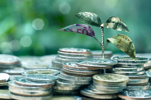 Banknottan filizlenme, iş büyüme kavramı