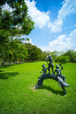 güzel yeşil çimen tarlası